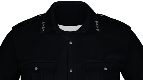 Collar Ranks/Pins